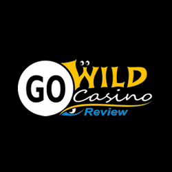 Go Wild Casino image